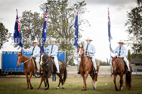 Singleton Show 15 -661