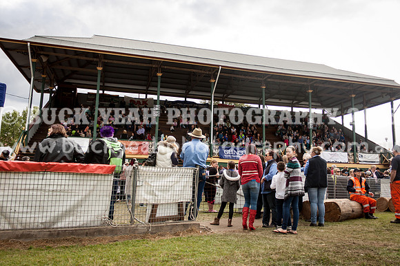 Singleton Show 15 -657