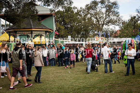 Singleton Show 15 -659