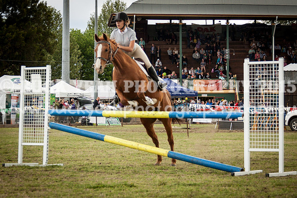 Singleton Show 15 -663