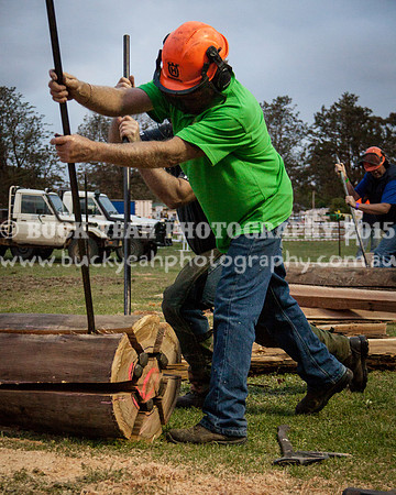 Singleton Show 15 -691