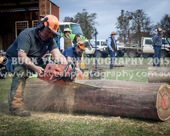 Singleton Show 15 -689