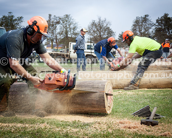 Singleton Show 15 -690