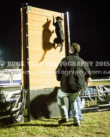 Singleton Show 15 -695