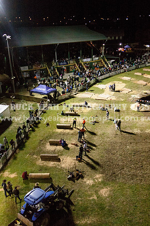 Singleton Show 15 -773