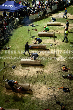 Singleton Show 15 -774
