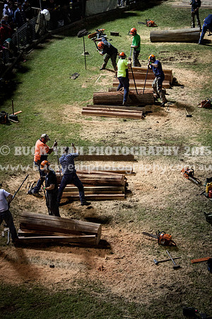 Singleton Show 15 -776