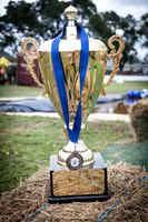 Singleton Show 15 -533