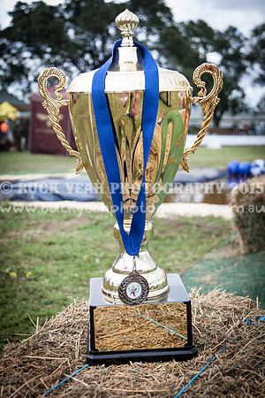 Singleton Show 15 -533