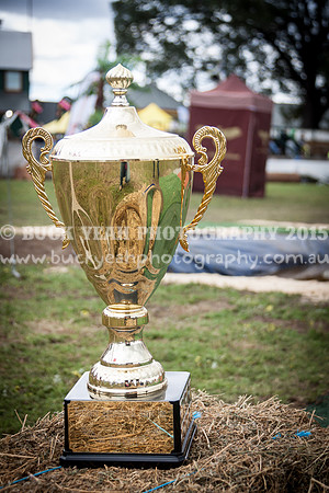 Singleton Show 15 -531