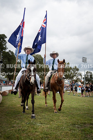 Singleton Show 15 -685