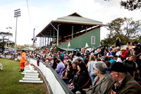 Singleton Show 15 -693