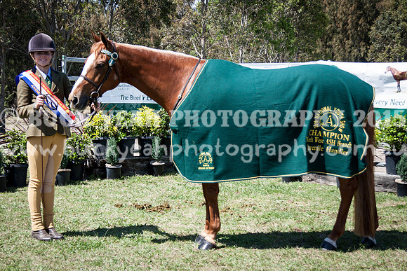 ASH Youth Nationals-4