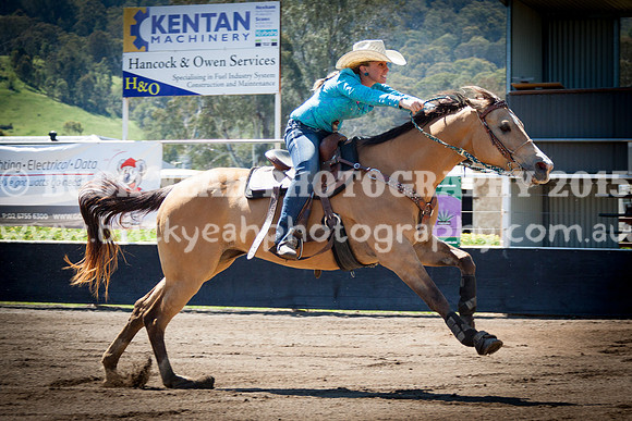 Clovers -202