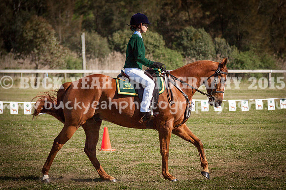 ASH Nationals -526
