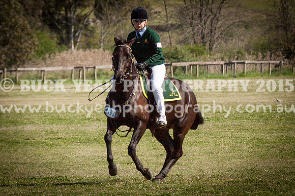 ASH Nationals -528