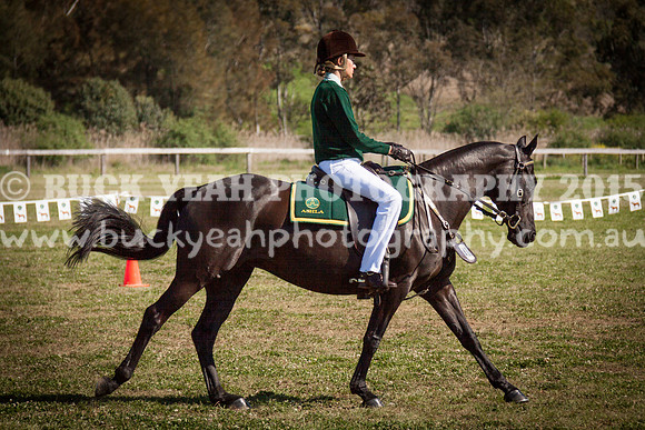 ASH Nationals -530