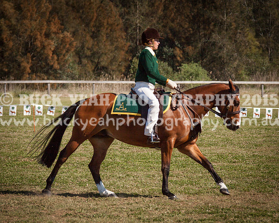 ASH Nationals -538