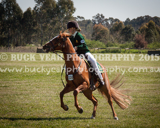ASH Nationals -560