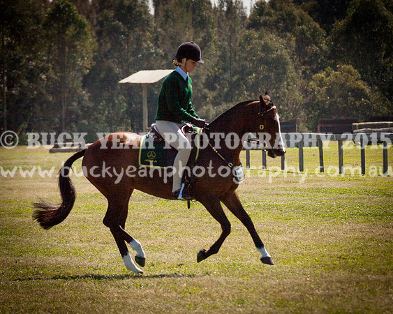ASH Nationals -593