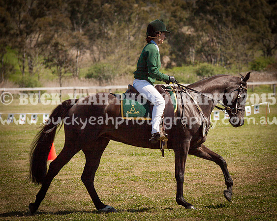 ASH Nationals -599