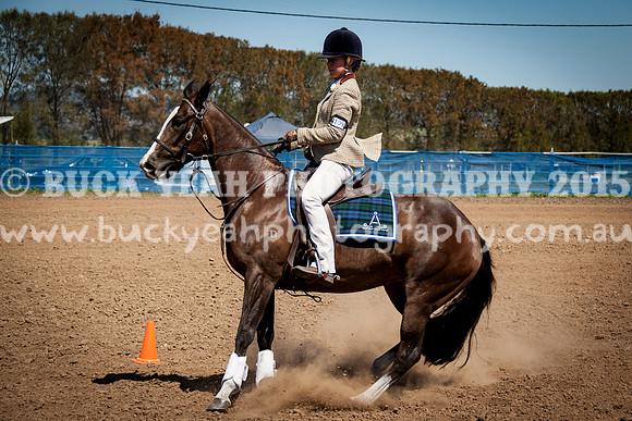 ASH Nationals -698