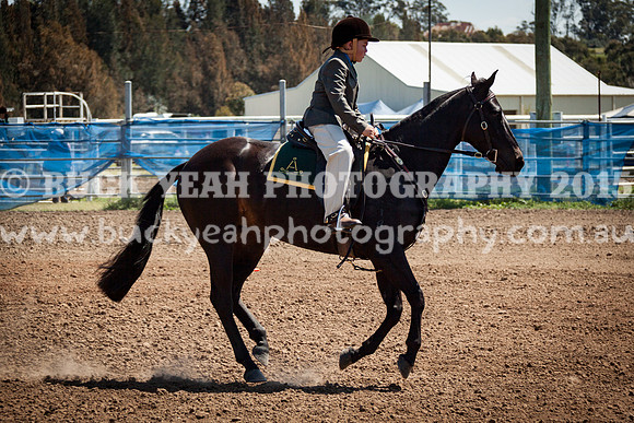 ASH Nationals -699