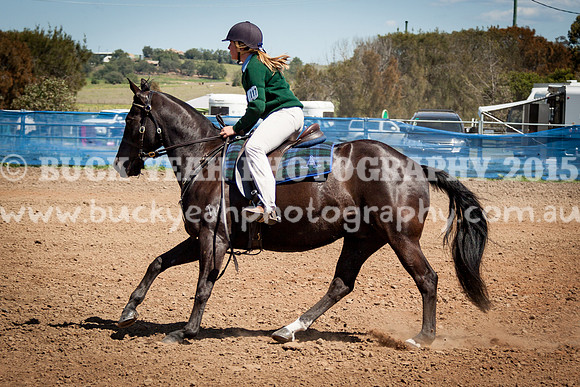 ASH Nationals -717