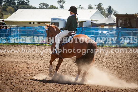 ASH Nationals -738