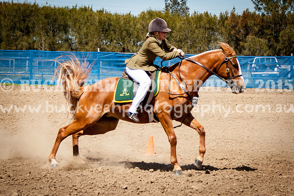 ASH Nationals -740