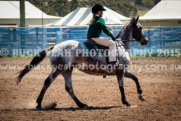 ASH Nationals -748