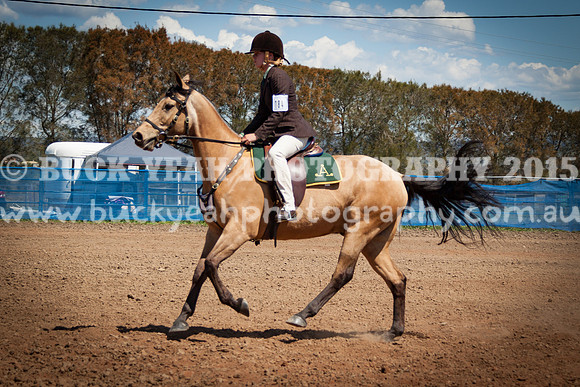ASH Nationals -825