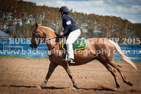 ASH Nationals -875