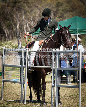 ASH Nationals -942
