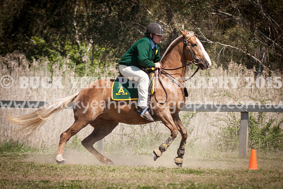 ASH Nationals -950