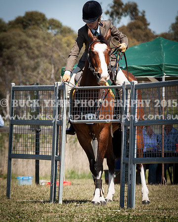 ASH Nationals -966