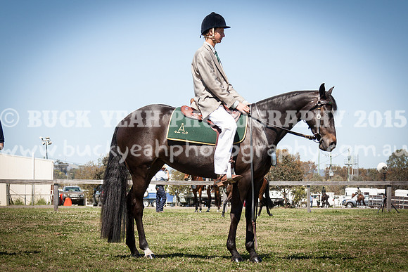 ASH Nationals -951