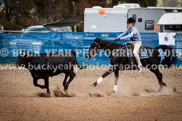 ASH Nationals -1075