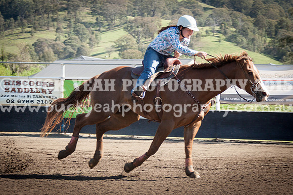 Clovers -613
