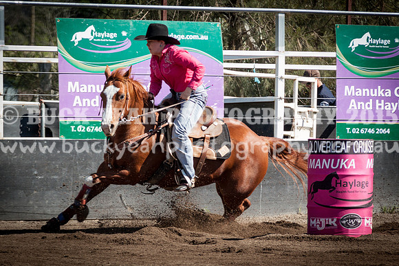 Clovers -692