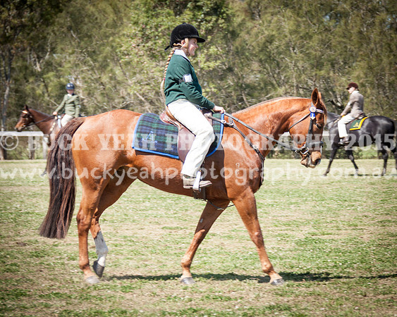 ASH Nationals -1260