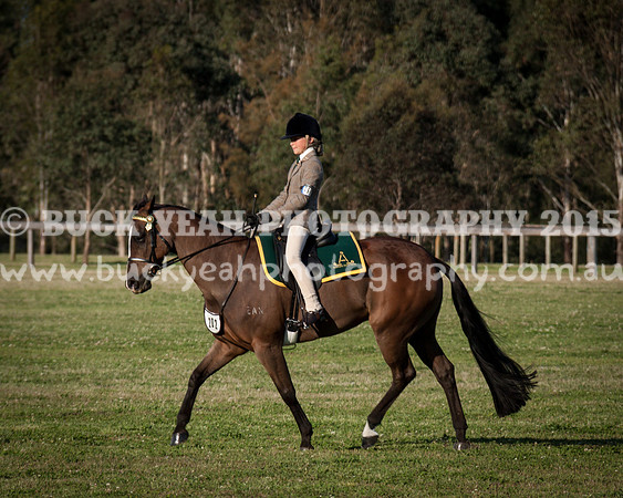 ASH Nationals -1365