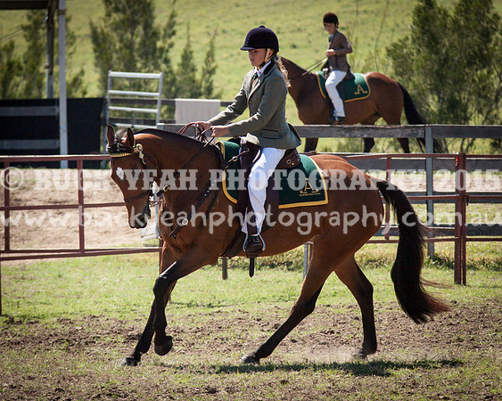 Eastern -427
