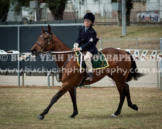 ASH National 14 - 67