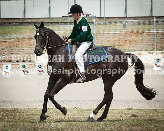 ASH National 14 - 129