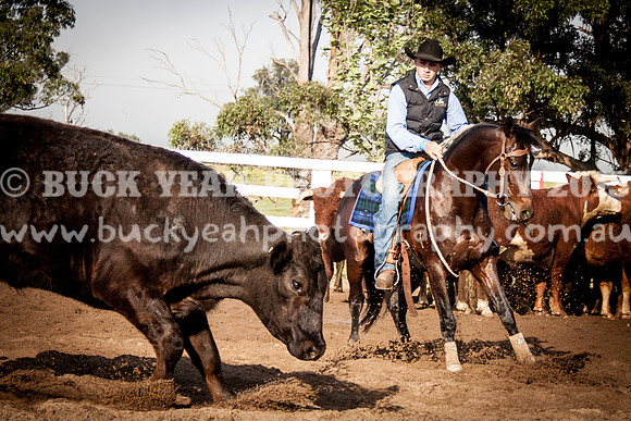 Vacy -20