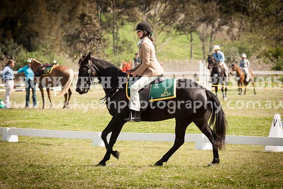 ASH Nationals -2460