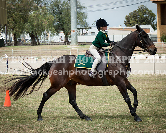 ASH National 14 - 60