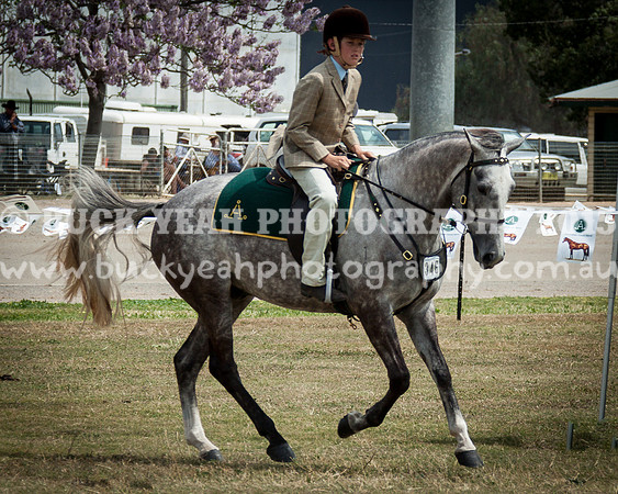 ASH National 14 - 127