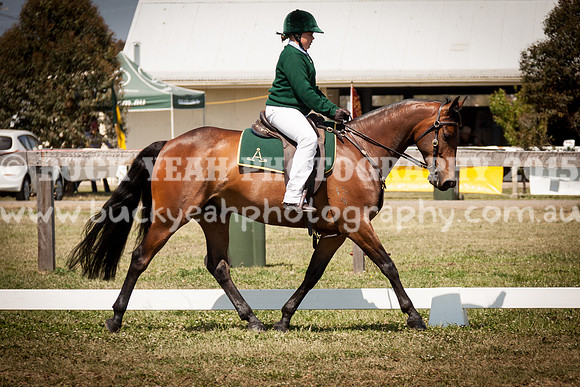 ASH Nationals -2500